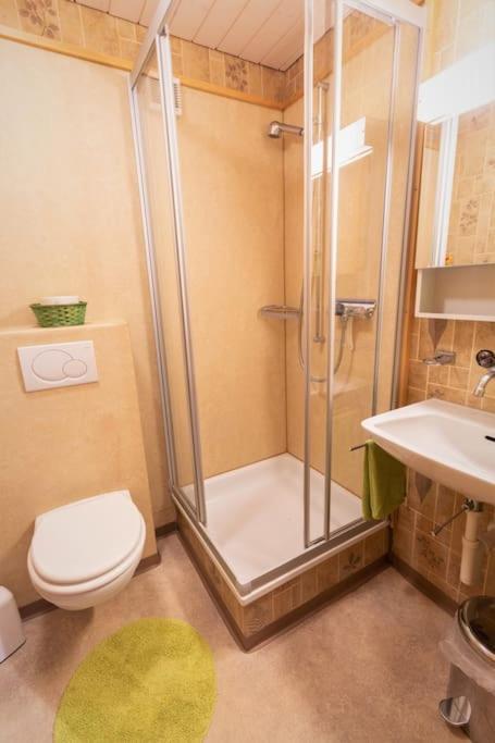 अपार्टमेंट Ferienwohnung Meiringen *